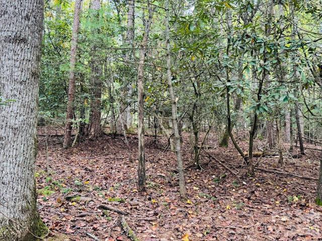 9999 Old Little Mountain Road Tract 5-a Property Photo 22