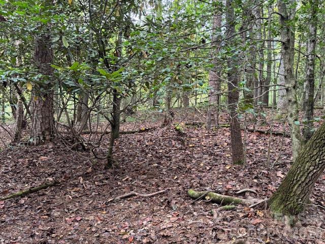 9999 Old Little Mountain Road Tract 5-a Property Photo 23