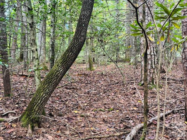 9999 Old Little Mountain Road Tract 5-a Property Photo 24