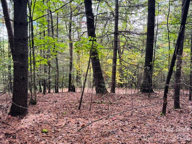 9999 Old Little Mountain Road Tract 5-a Property Photo 25
