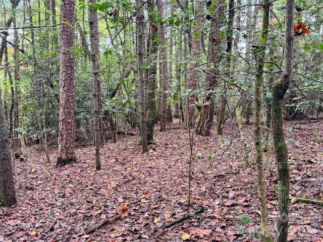 9999 Old Little Mountain Road Tract 5-a Property Photo 26