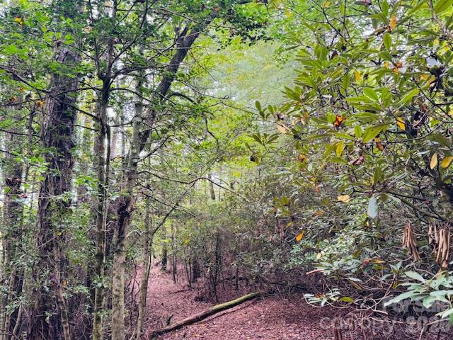 9999 Old Little Mountain Road Tract 5-a Property Photo 28