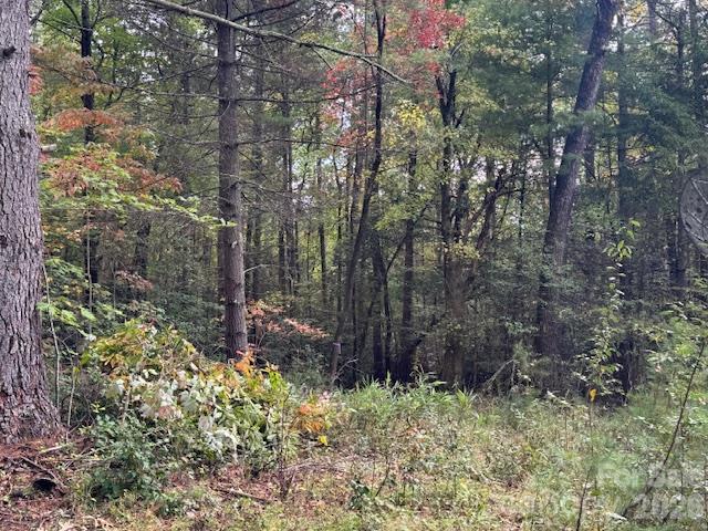 9999 Old Little Mountain Road Tract 5-a Property Photo 29