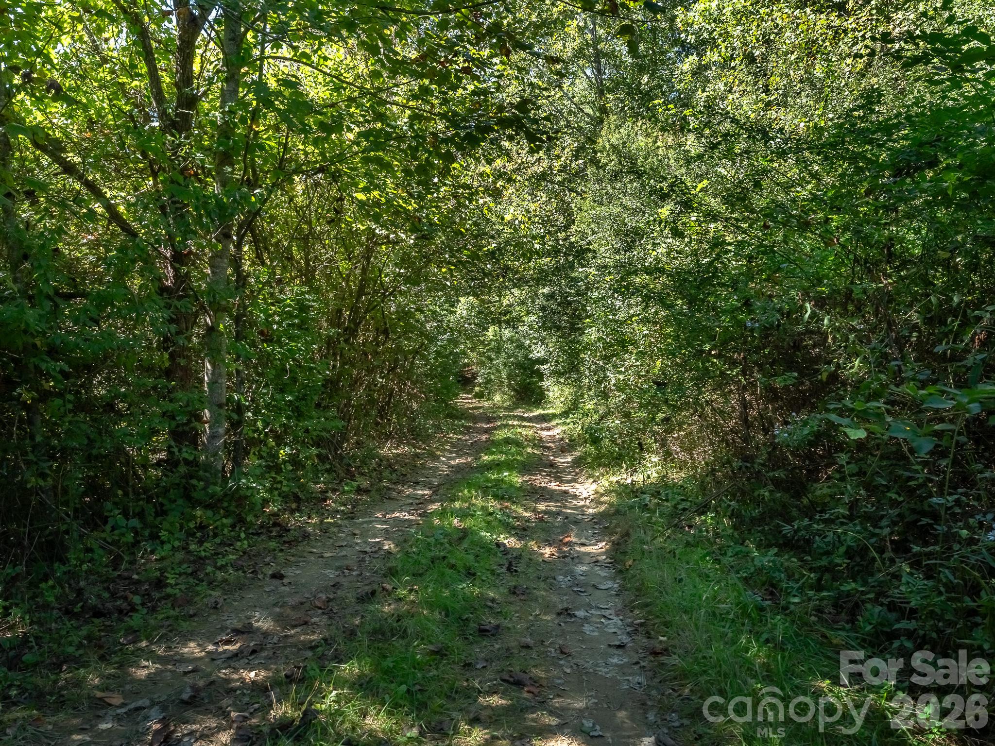 9999 Old Little Mountain Road Tract 5-a Property Photo 32