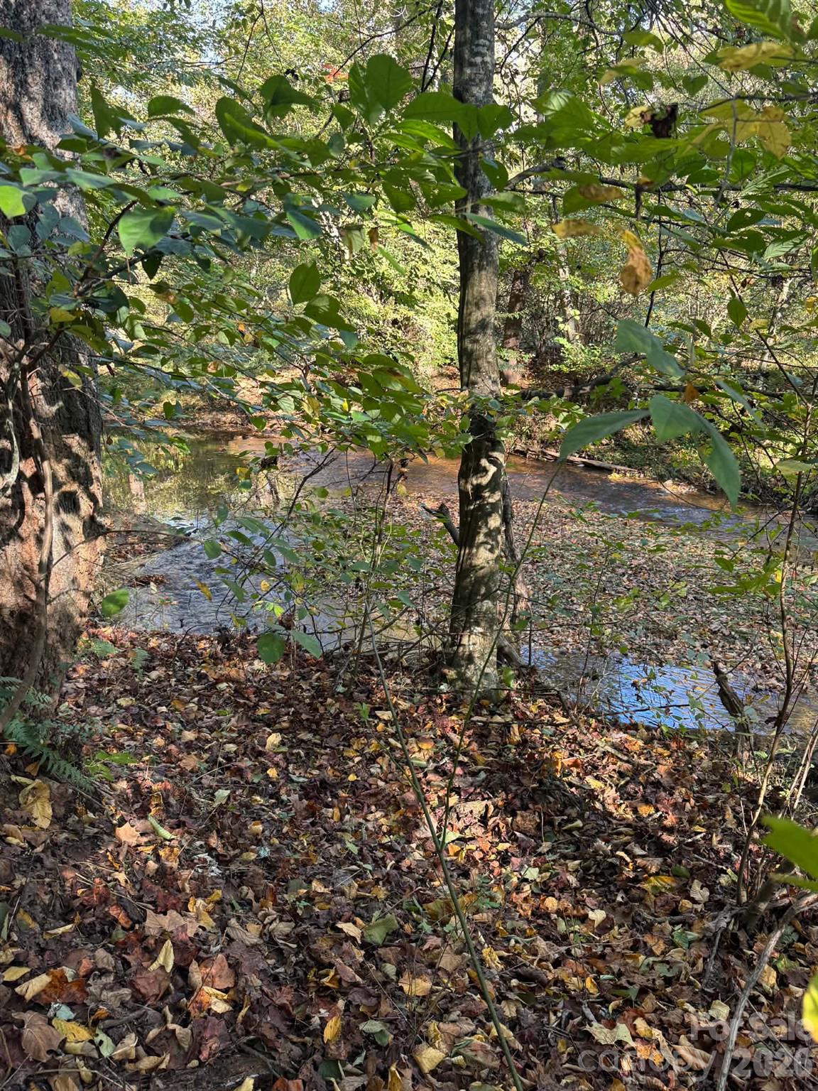 15.43 Ac Whisper Ridge Lane Property Photo 7