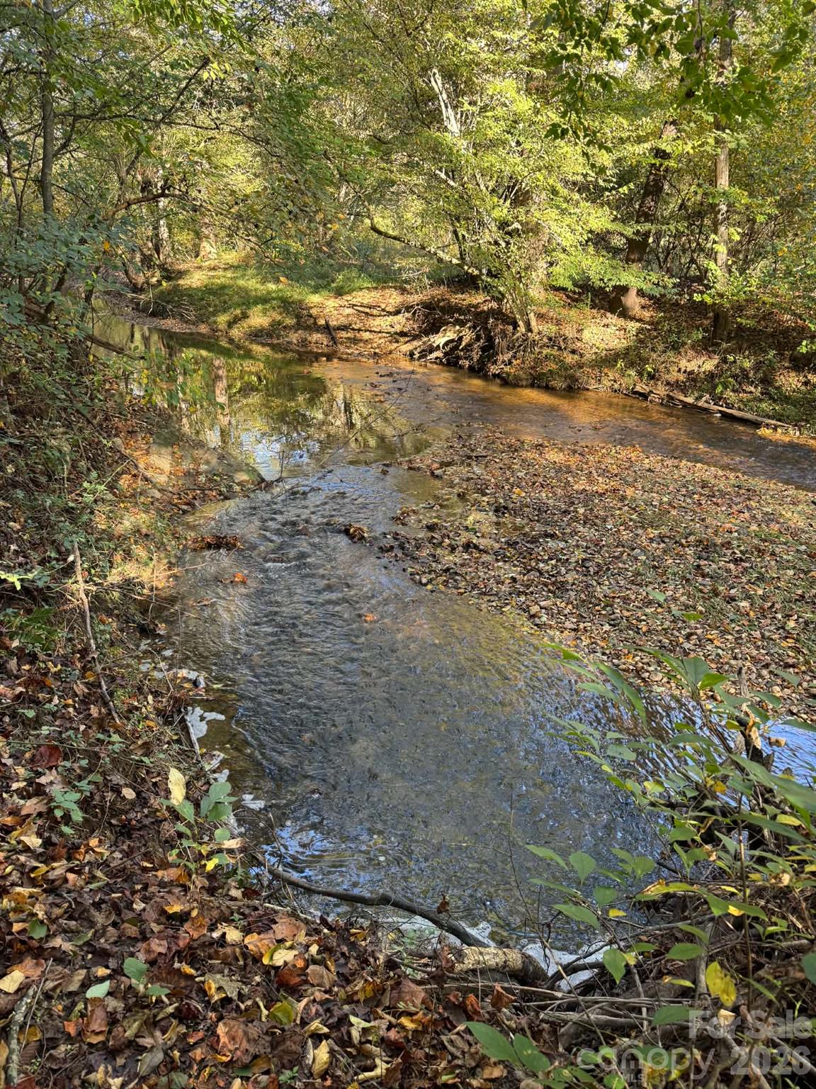 15.43 Ac Whisper Ridge Lane Property Photo 8
