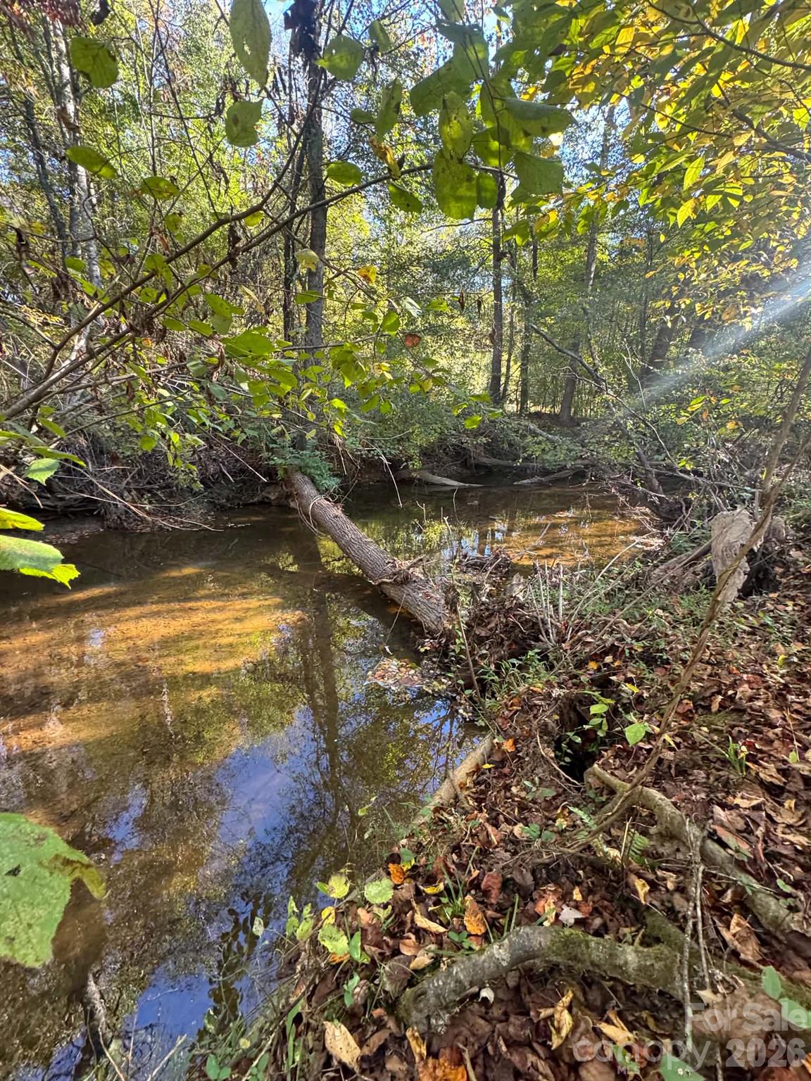 15.43 Ac Whisper Ridge Lane Property Photo 15