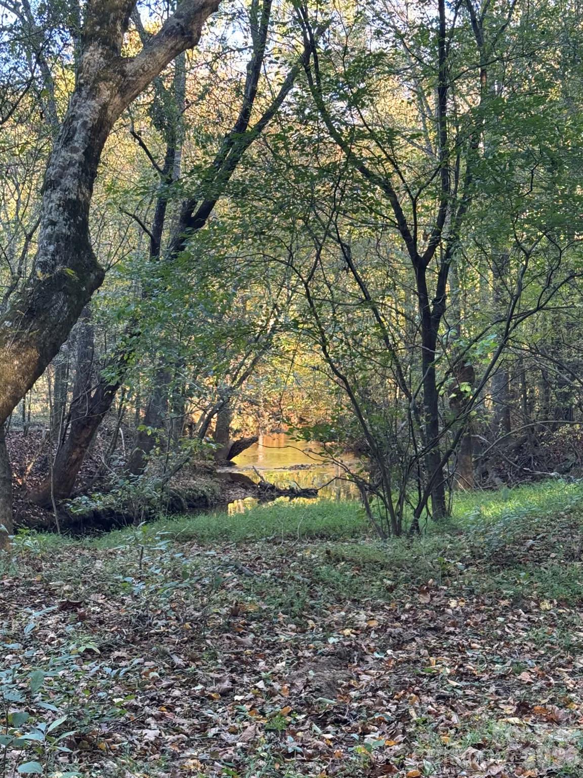 15.43 Ac Whisper Ridge Lane Property Photo 25