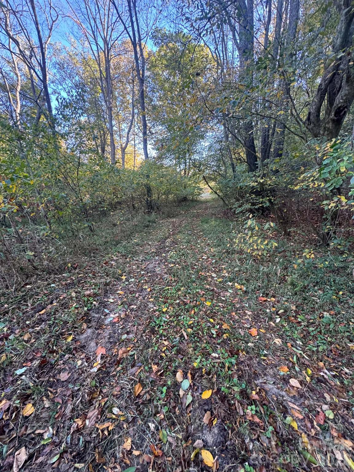 15.43 Ac Whisper Ridge Lane Property Photo 26