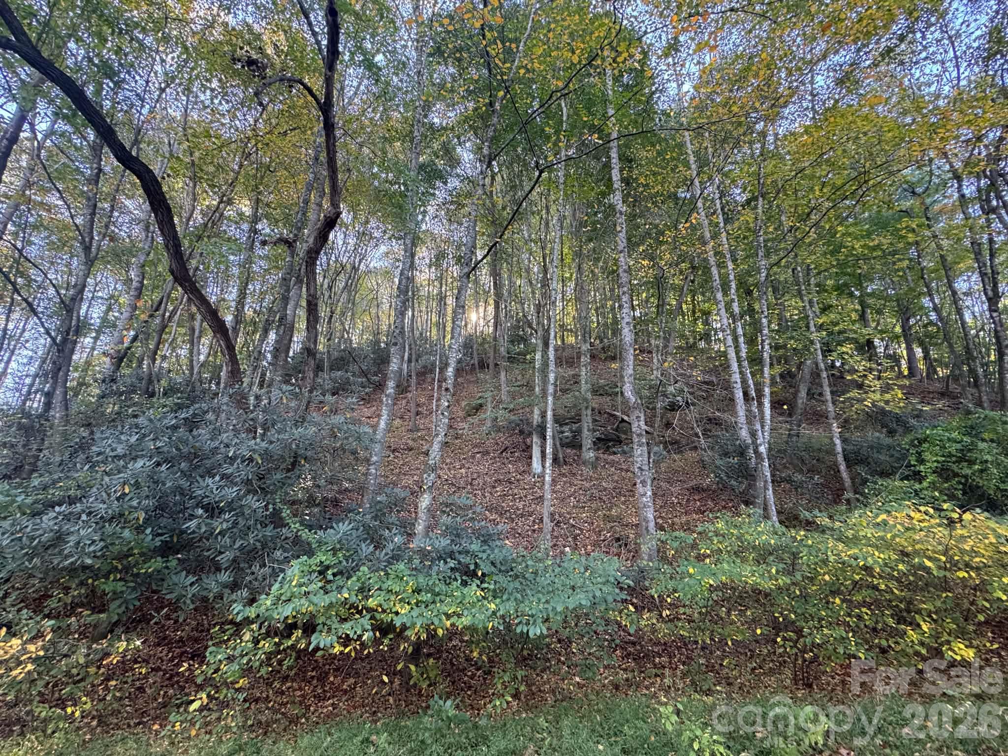 15.43 Ac Whisper Ridge Lane Property Photo 27