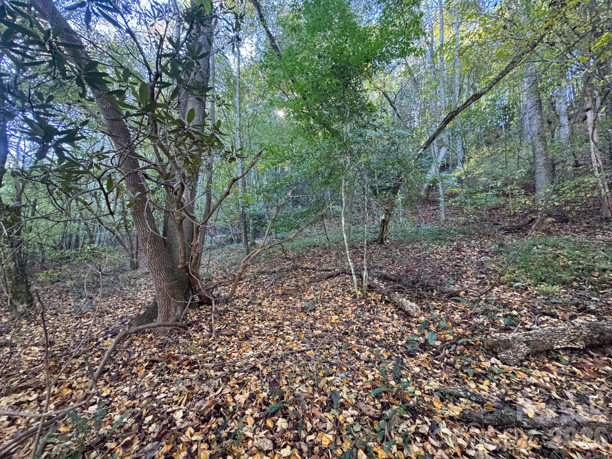 15.43 Ac Whisper Ridge Lane Property Photo 32