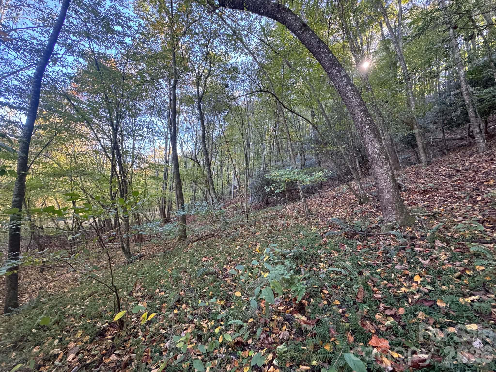 15.43 Ac Whisper Ridge Lane Property Photo 33