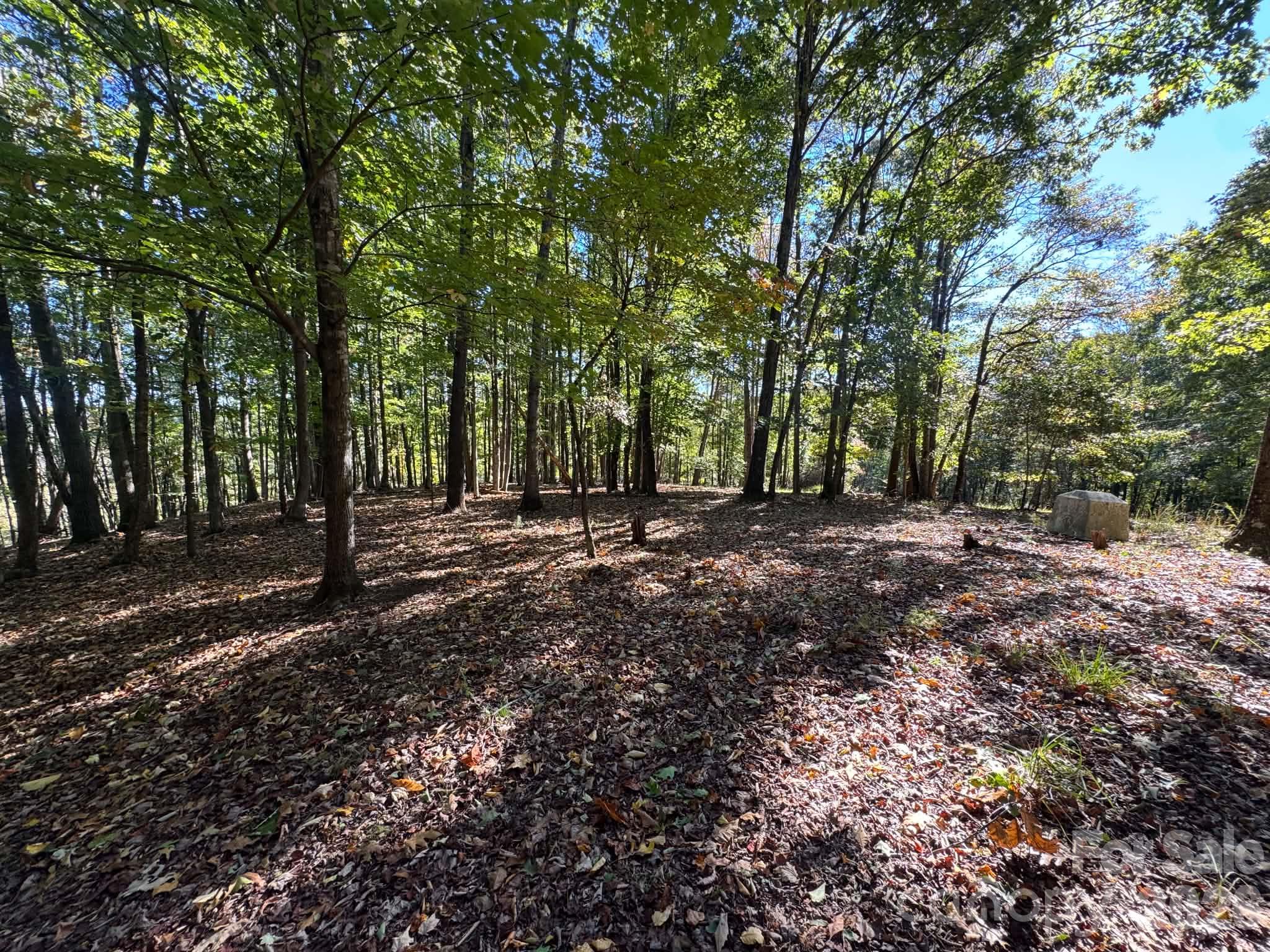 15.43 Ac Whisper Ridge Lane Property Photo 34
