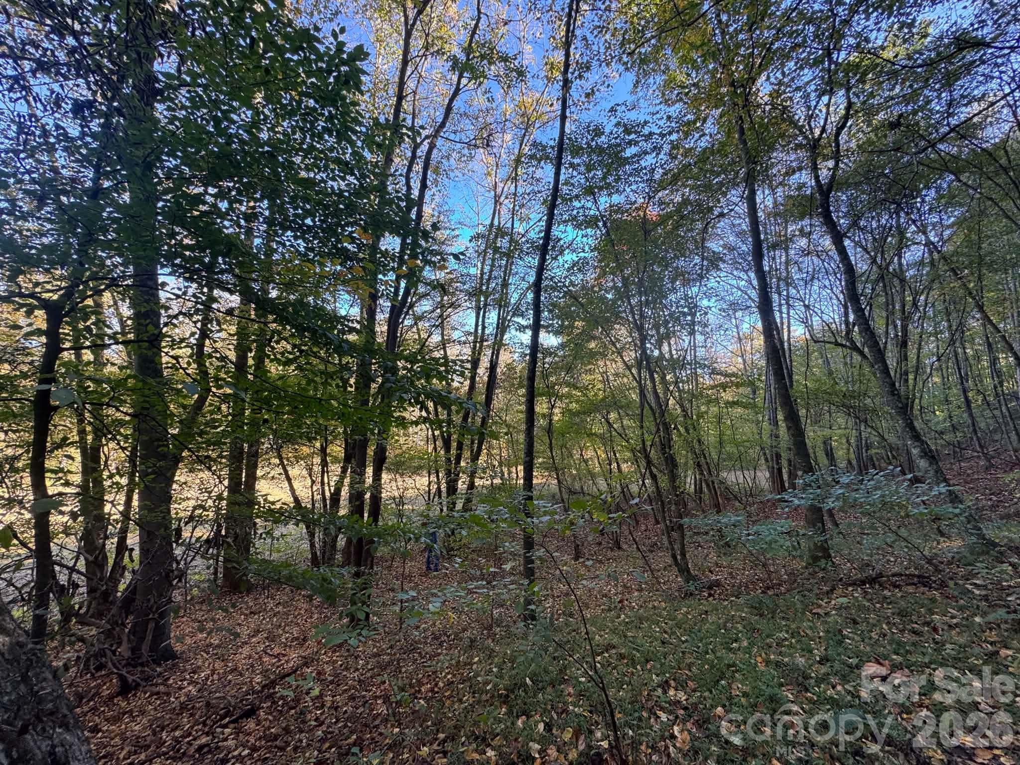 15.43 Ac Whisper Ridge Lane Property Photo 35