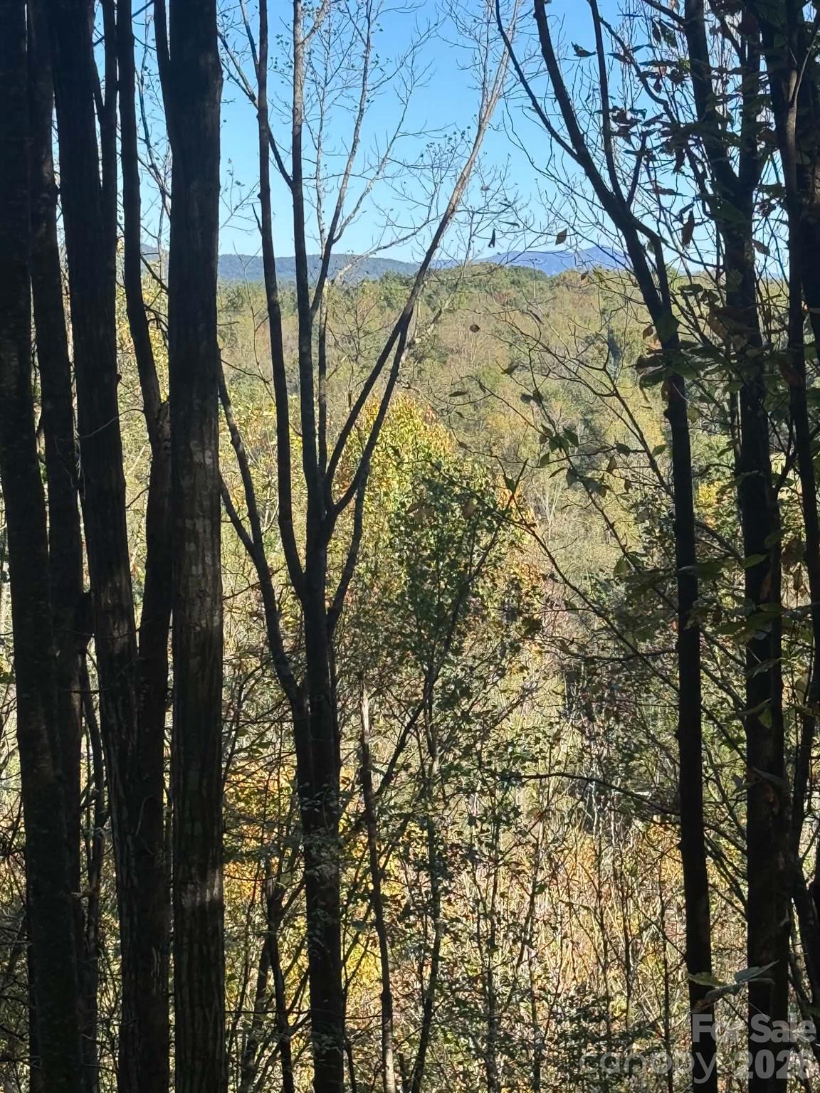 15.43 Ac Whisper Ridge Lane Property Photo 37