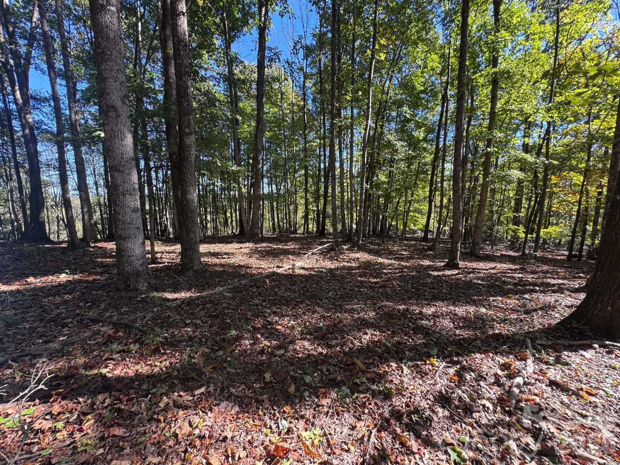 15.43 Ac Whisper Ridge Lane Property Photo 40