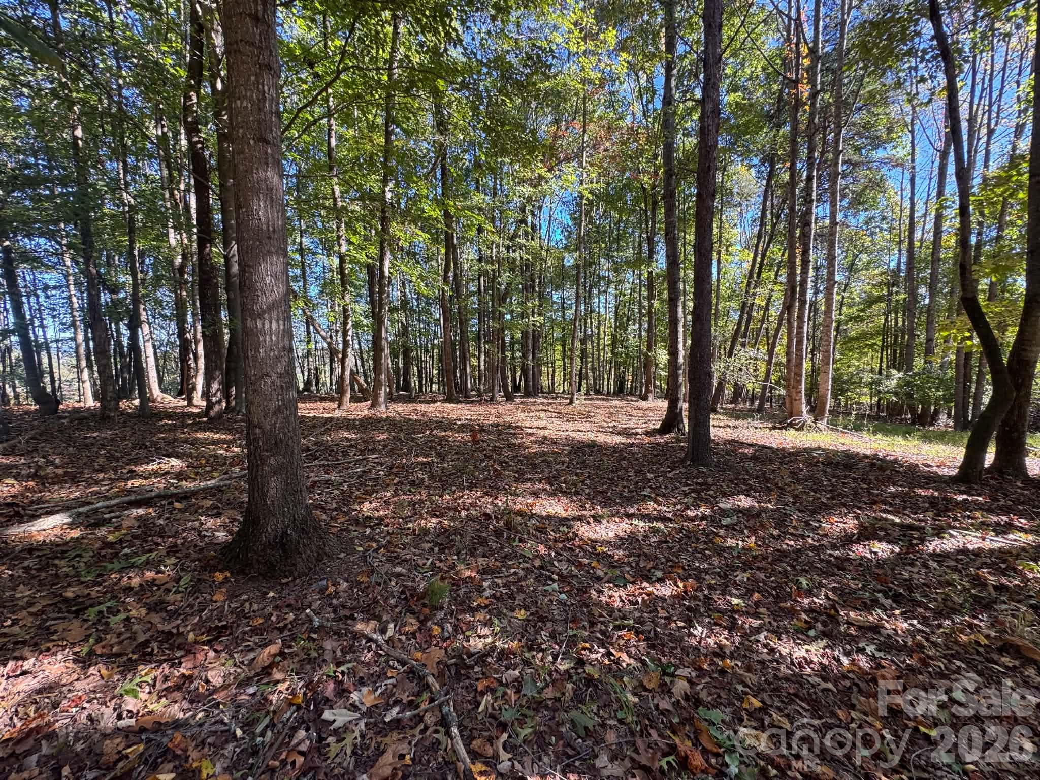 15.43 Ac Whisper Ridge Lane Property Photo 42