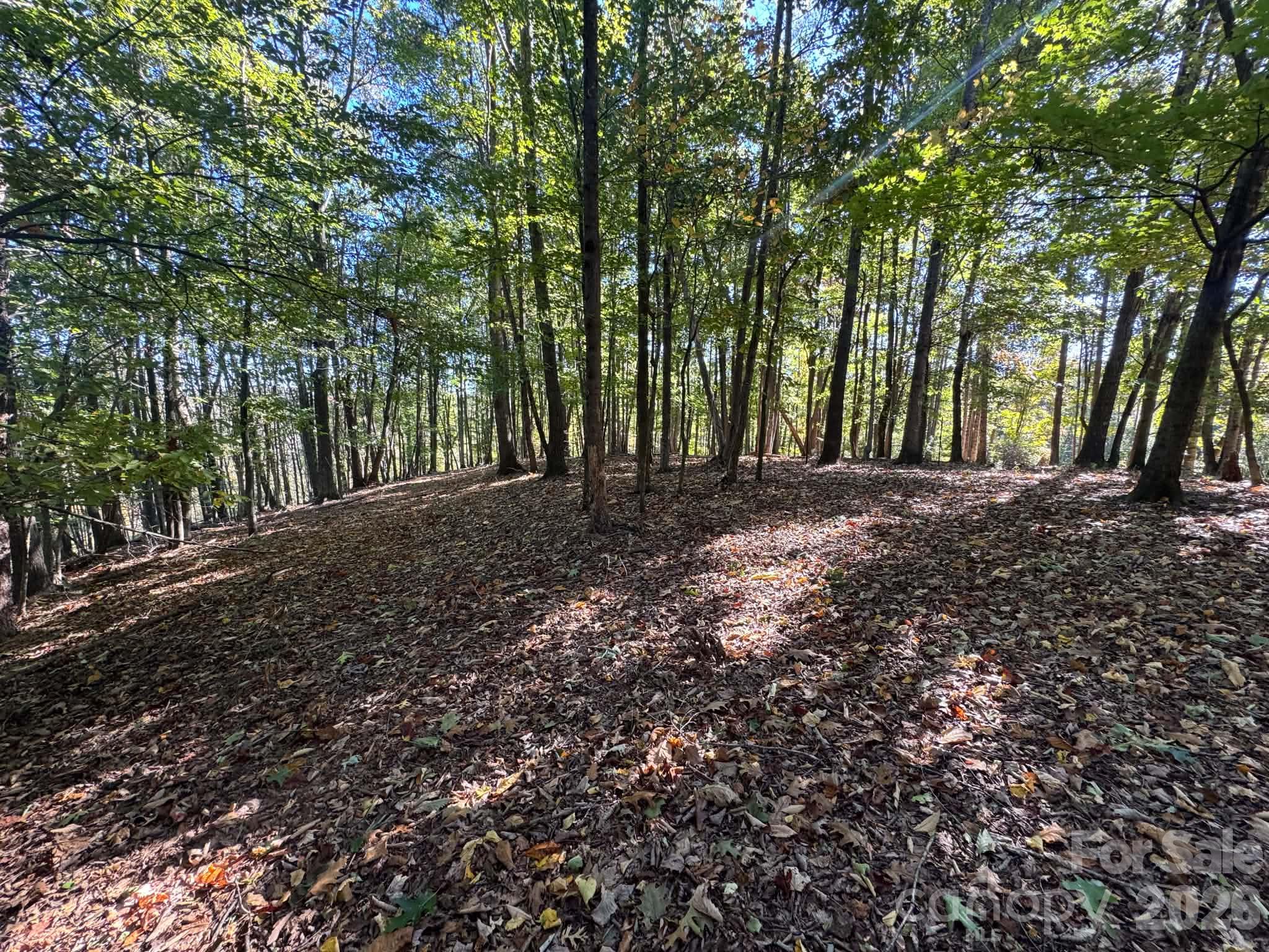 15.43 Ac Whisper Ridge Lane Property Photo 43