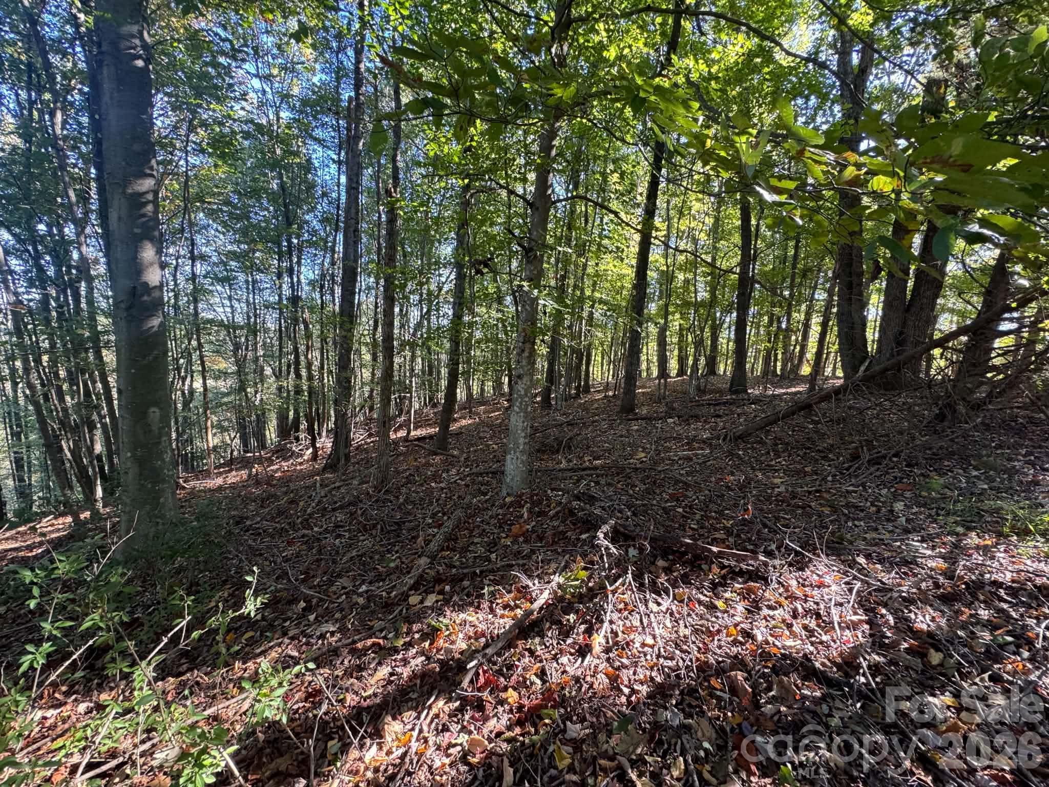 15.43 Ac Whisper Ridge Lane Property Photo 44