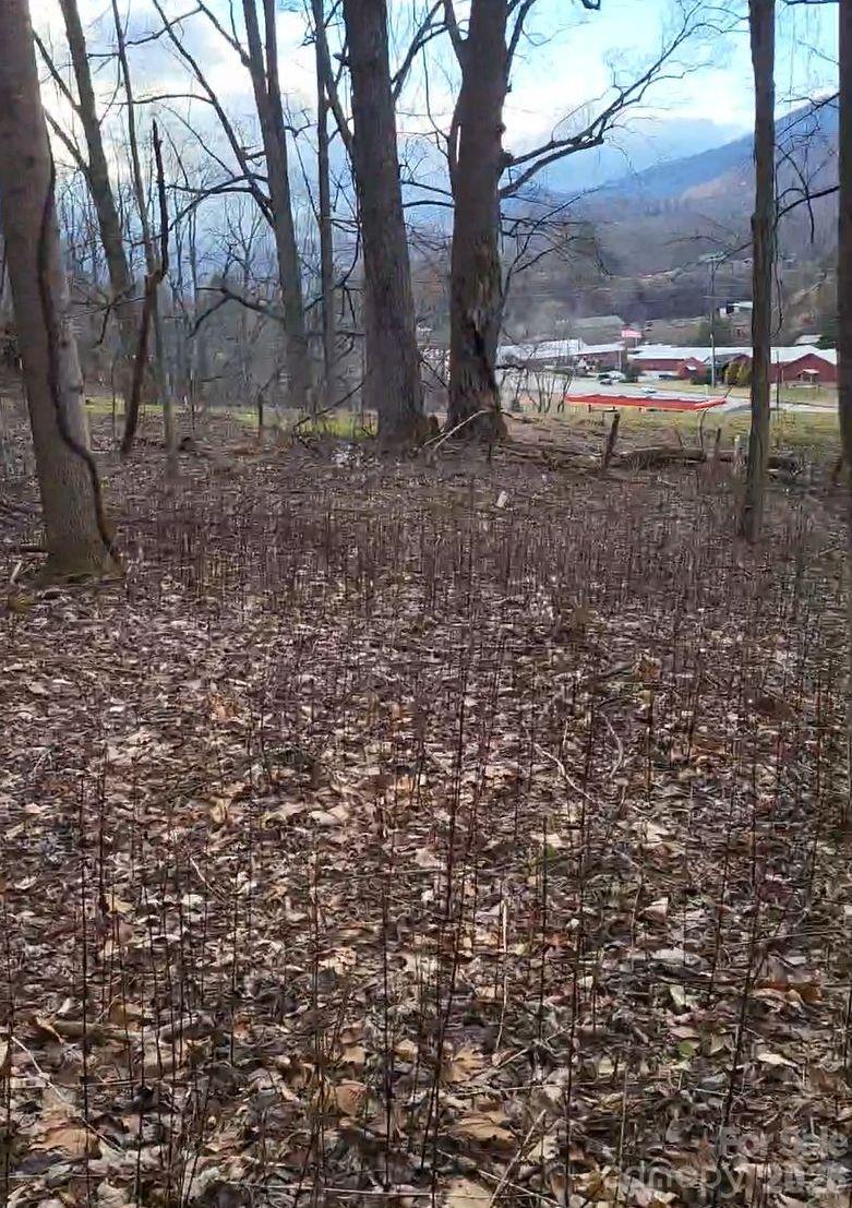 3009 Dellwood Road Property Photo 26
