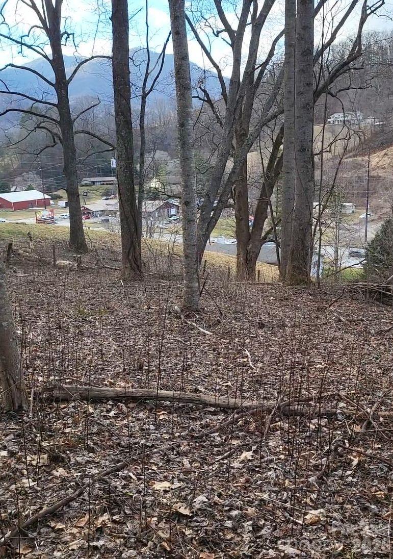 3009 Dellwood Road Property Photo 29