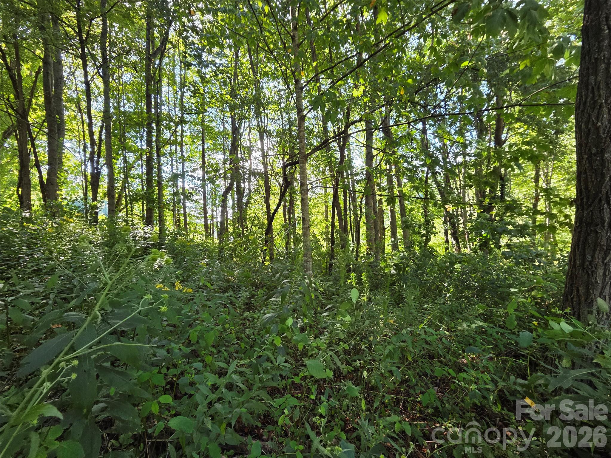 3009 Dellwood Road Property Photo 32