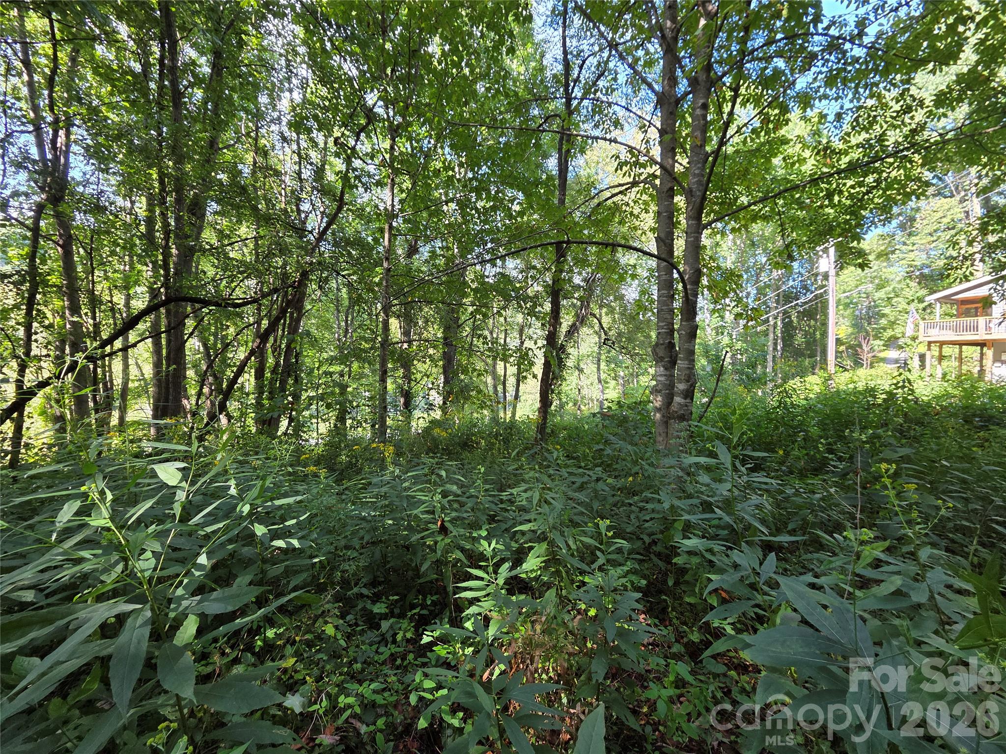 3009 Dellwood Road Property Photo 33