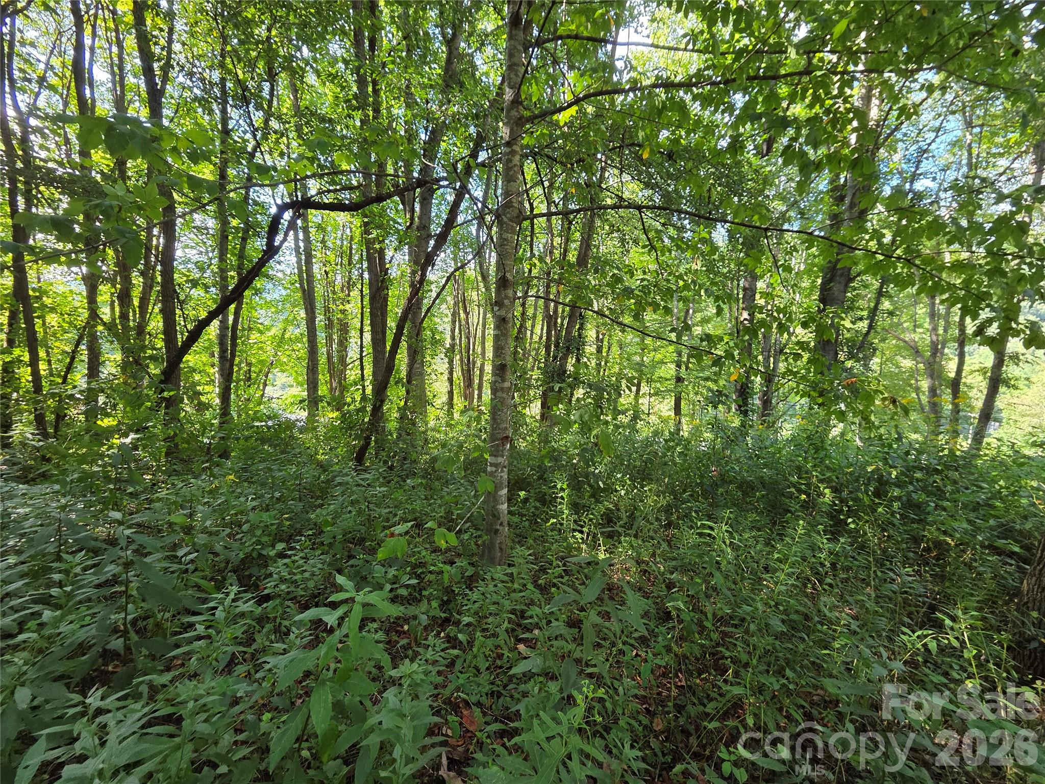 3009 Dellwood Road Property Photo 34