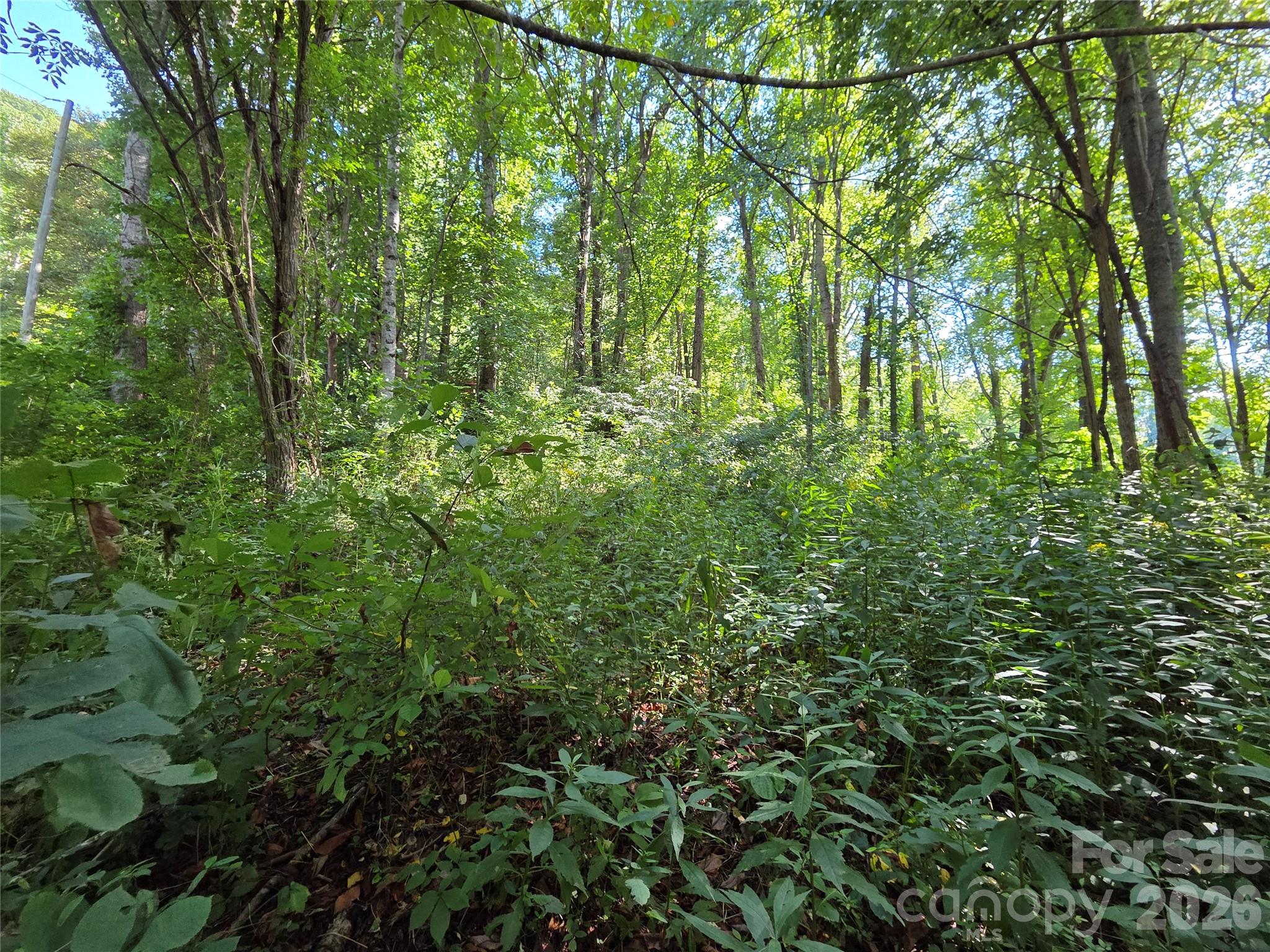3009 Dellwood Road Property Photo 35