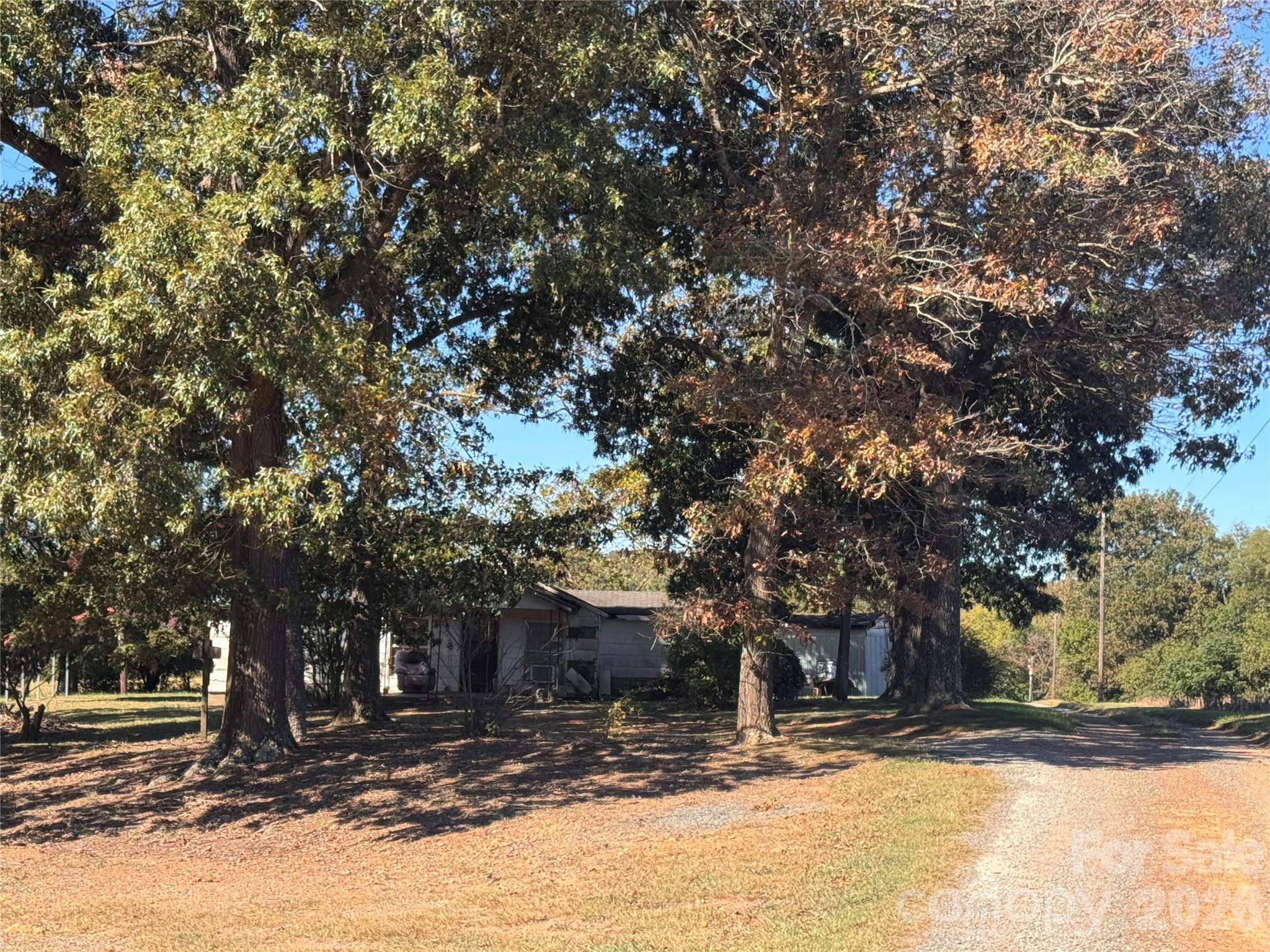 2933 Bert Williams Road Property Photo 11