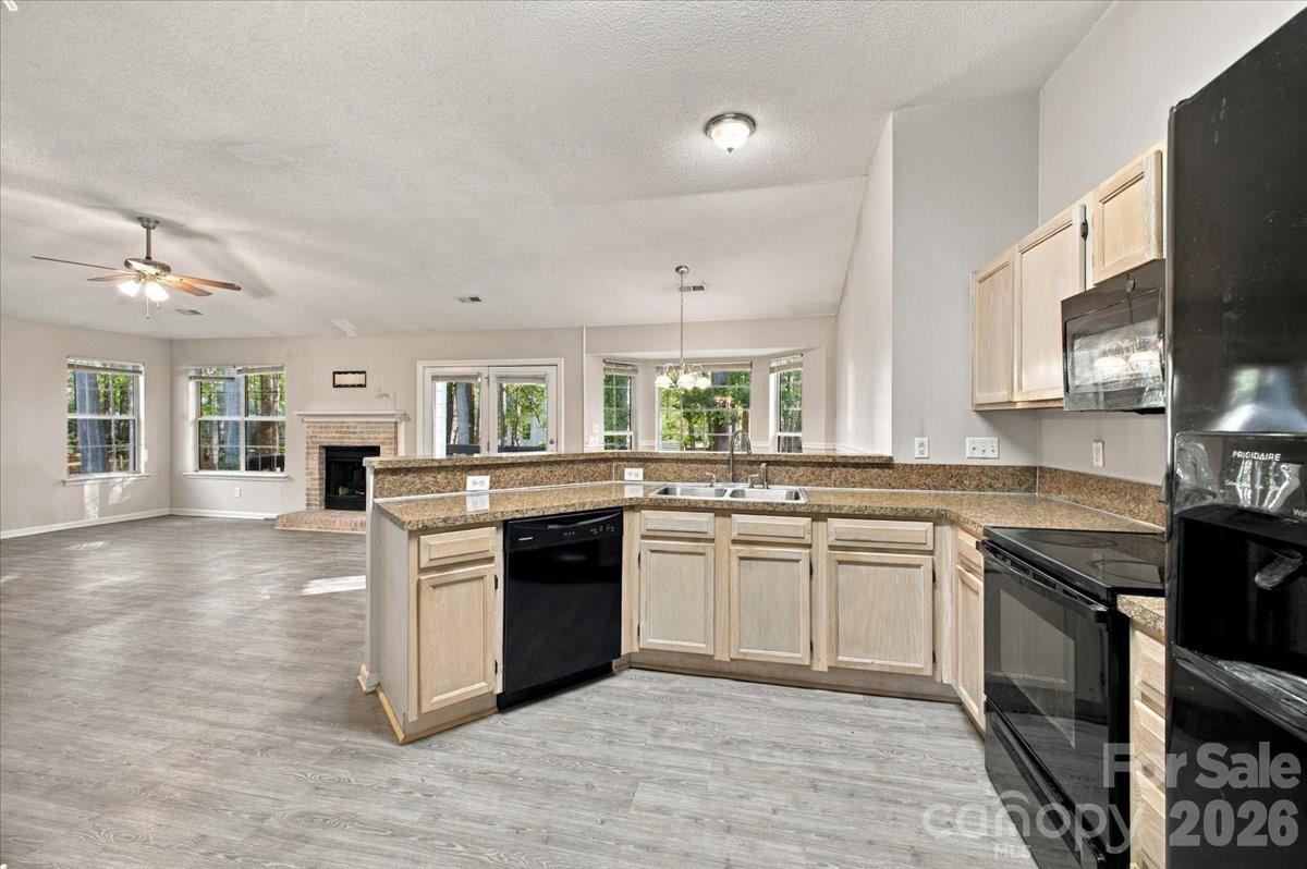 11219 Turmeric Court Property Photo 11
