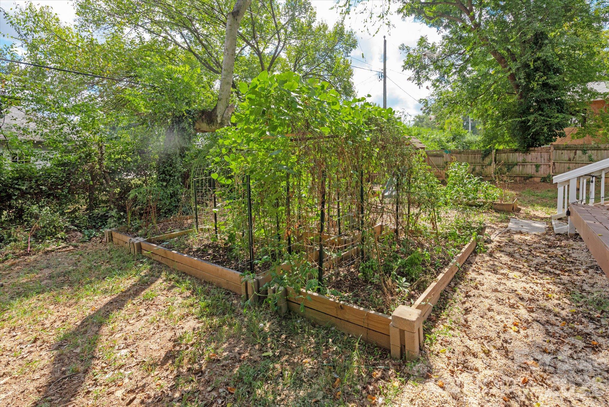 233 Florence Street Property Photo 35
