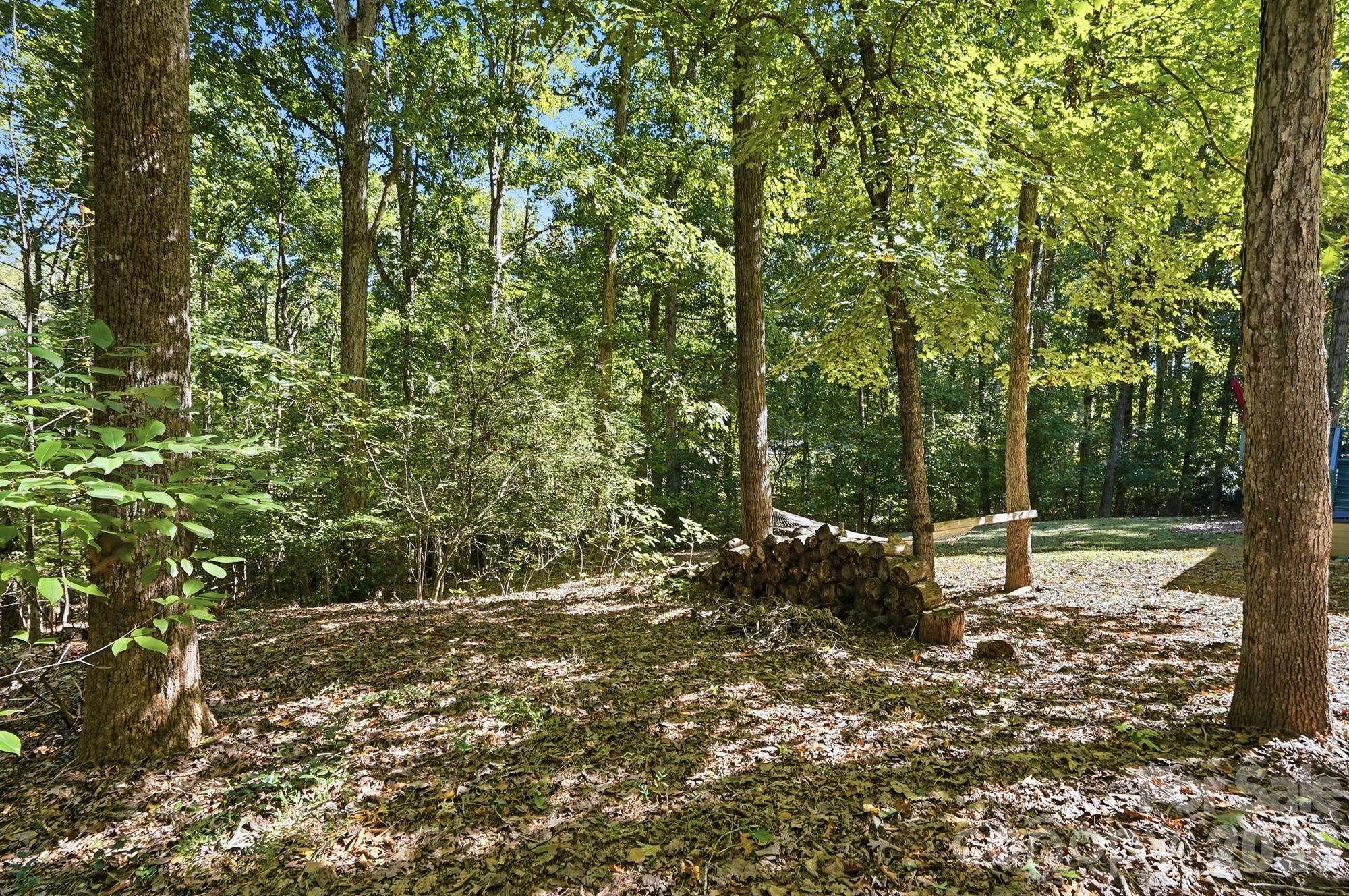 8610 Lochinvar Drive Property Photo 23