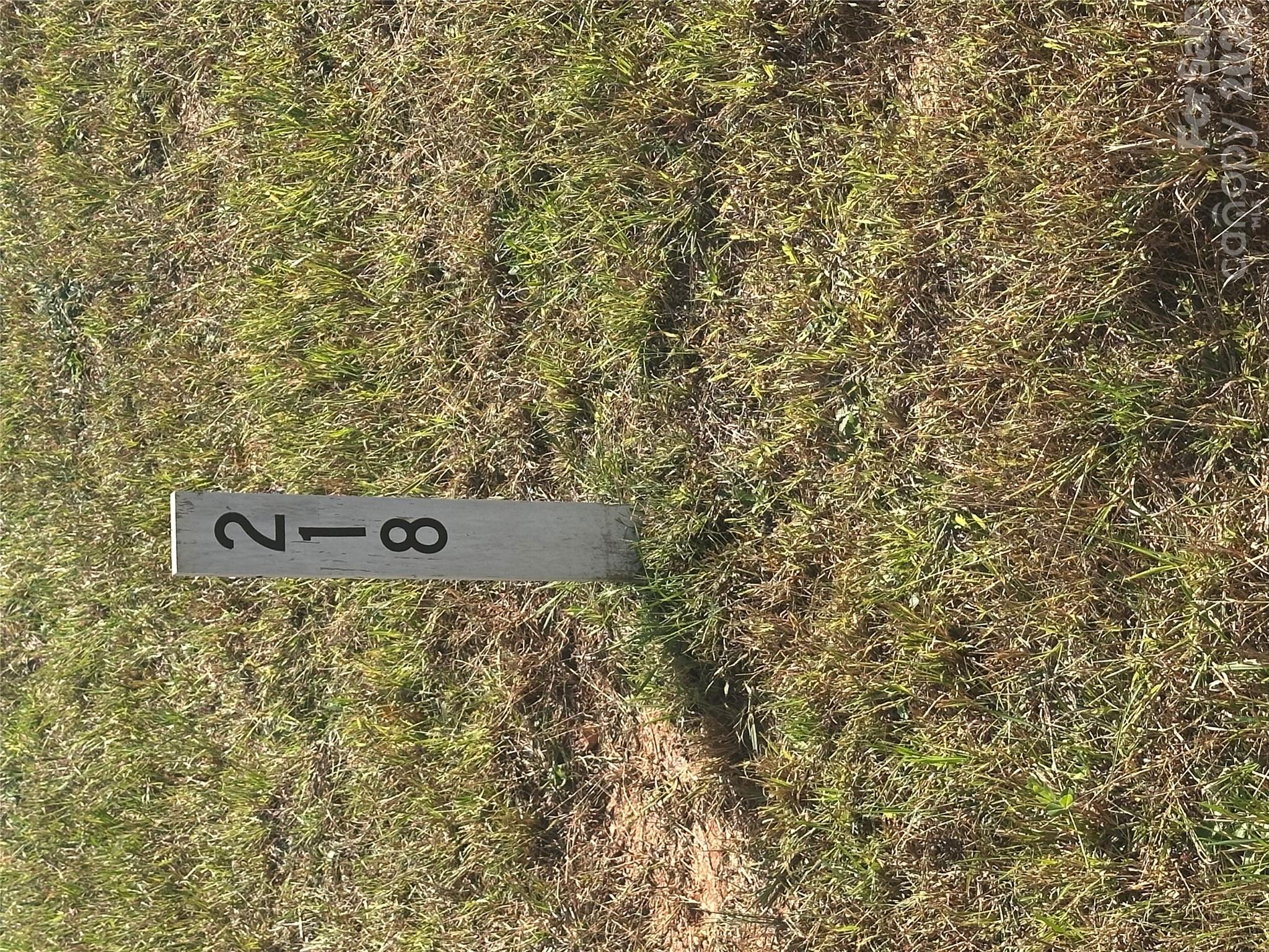 Lot 218 Canterbury Drive Property Photo 2