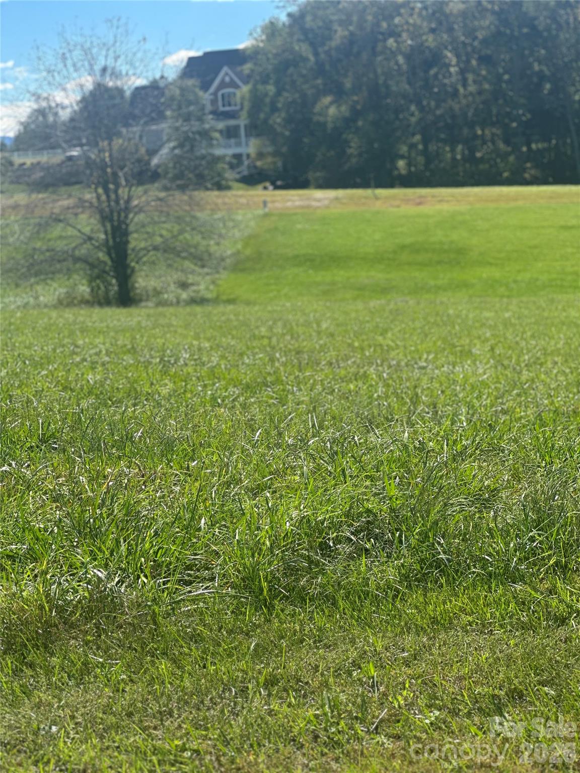 Lot 205 Canterbury Drive Property Photo 1
