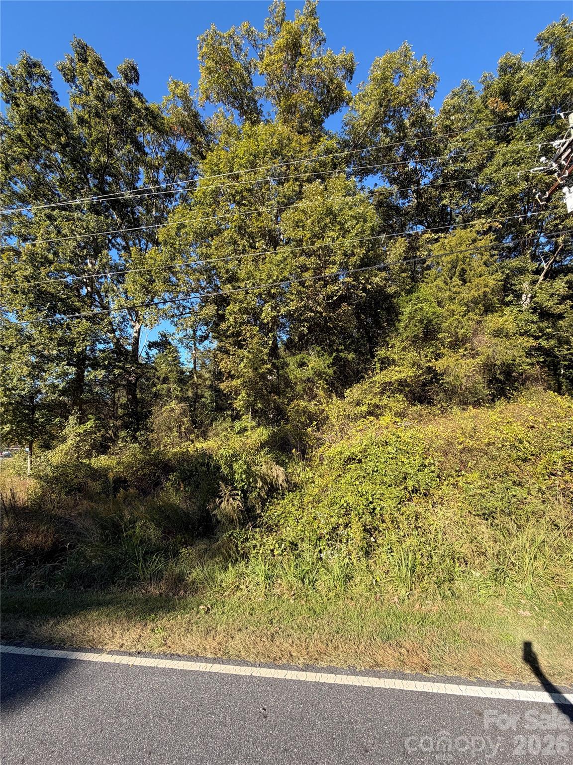 0 Confederate Road Property Photo 2