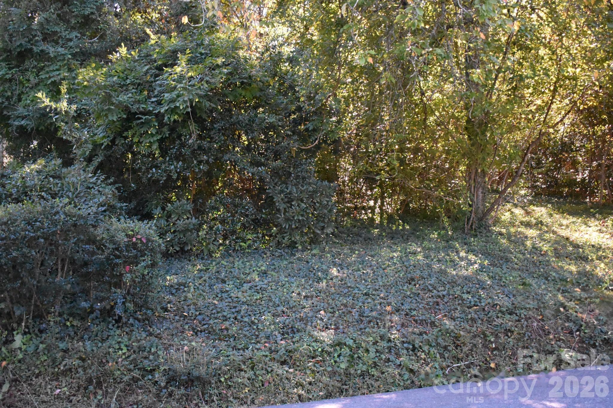 0 Fernwood Drive 16 Property Photo 4
