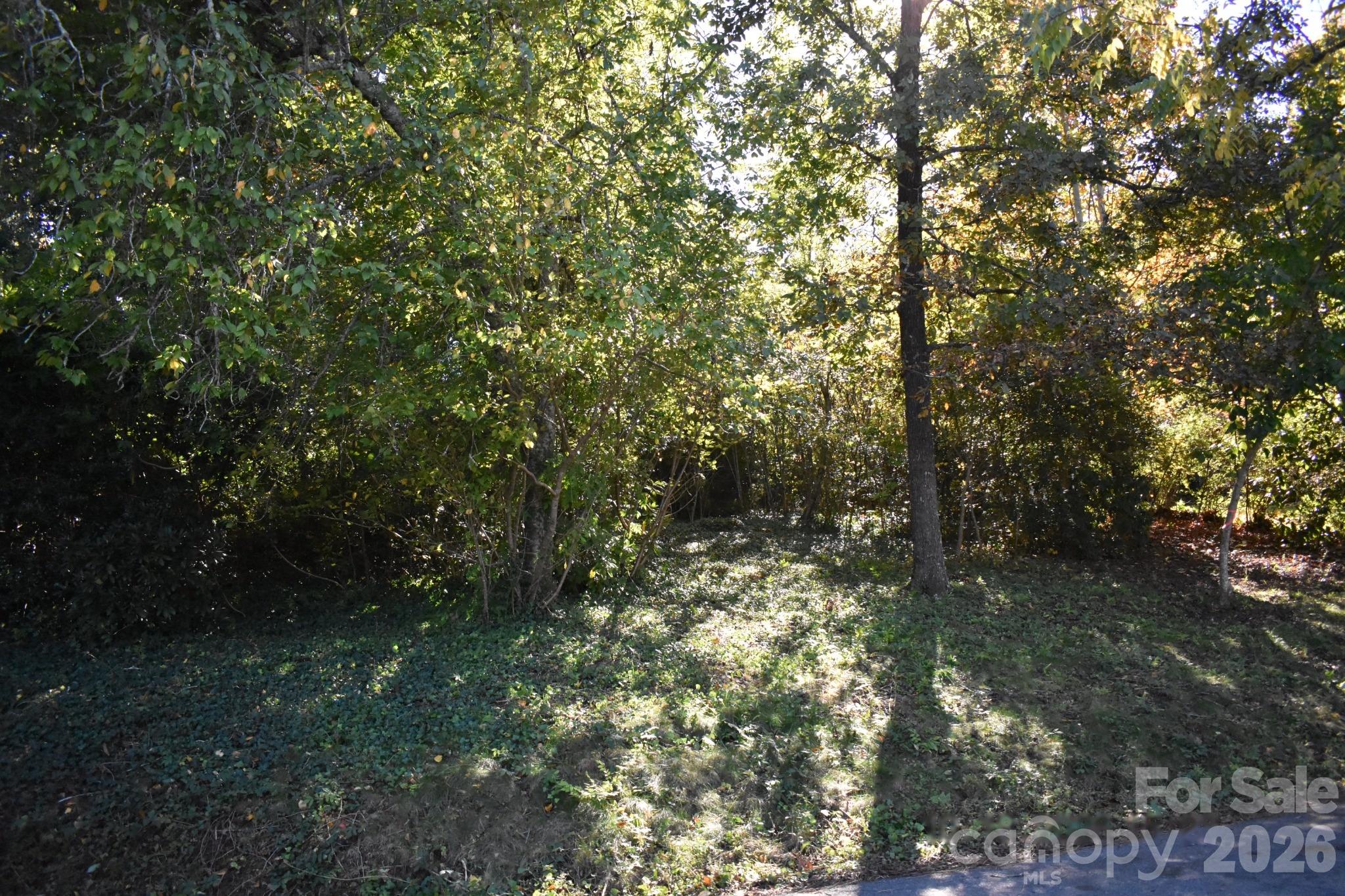 0 Fernwood Drive 16 Property Photo 5