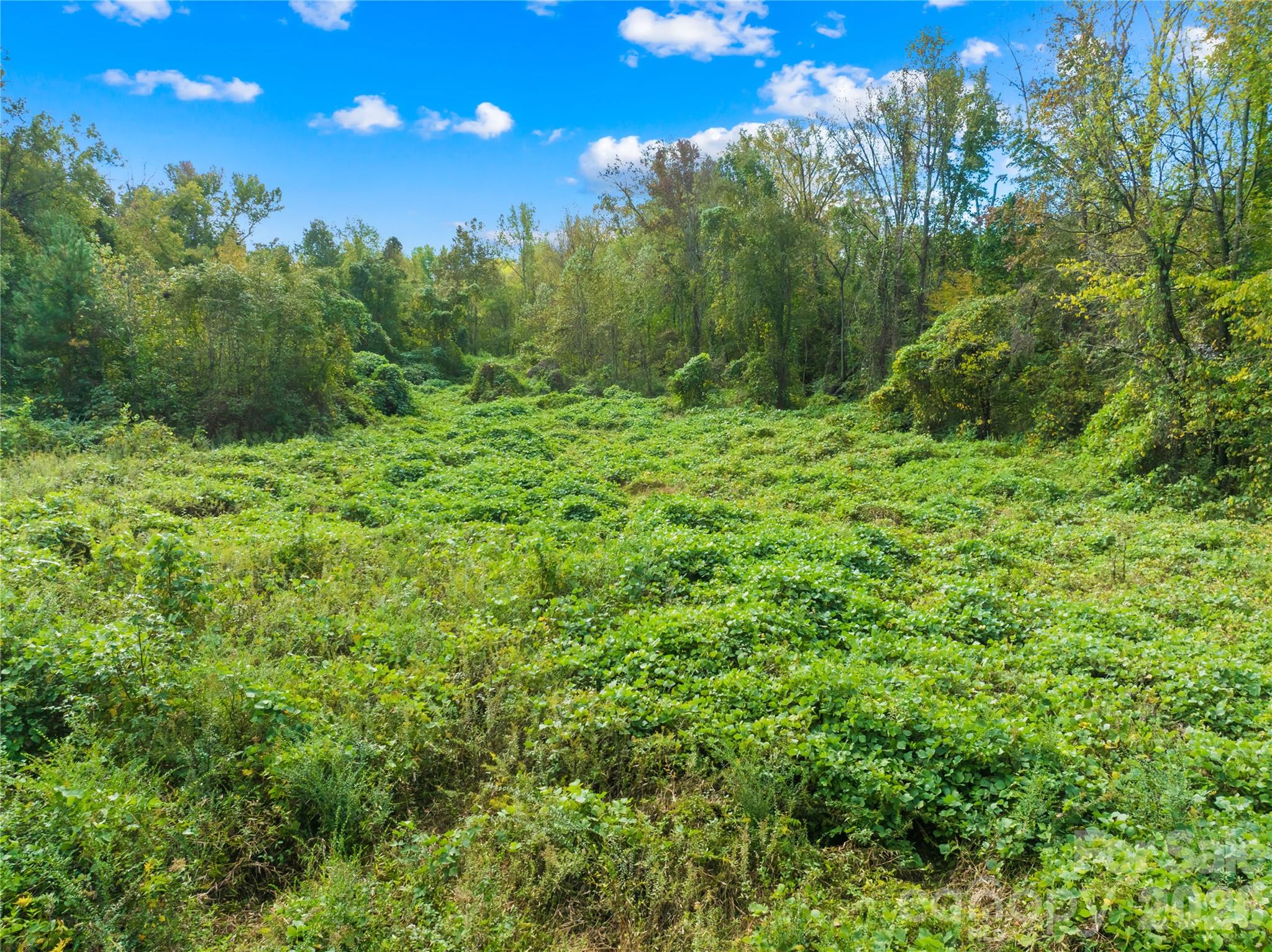 0 Abel Road Property Photo 26