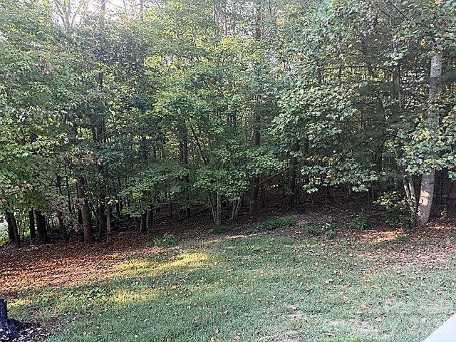 87 Sleepy Forest Drive Property Photo 16