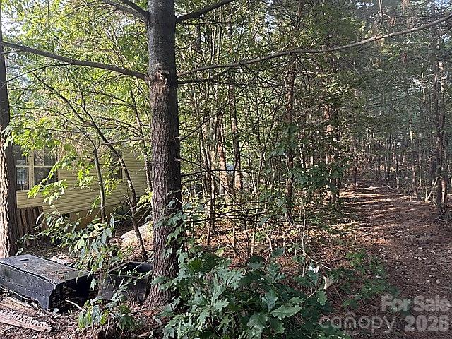 87 Sleepy Forest Drive Property Photo 21