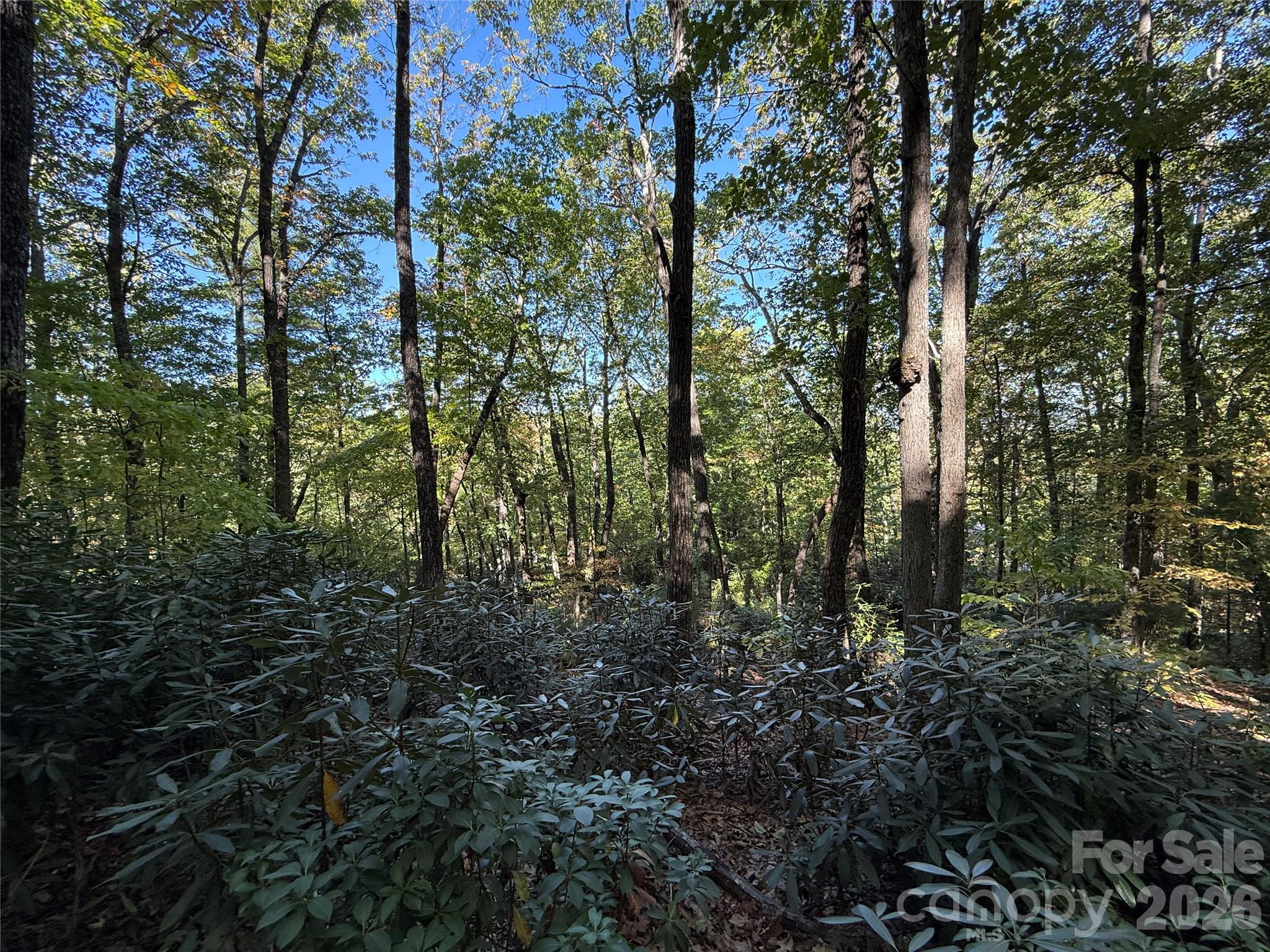Lot 81 - R Kenmure Drive Property Photo 1
