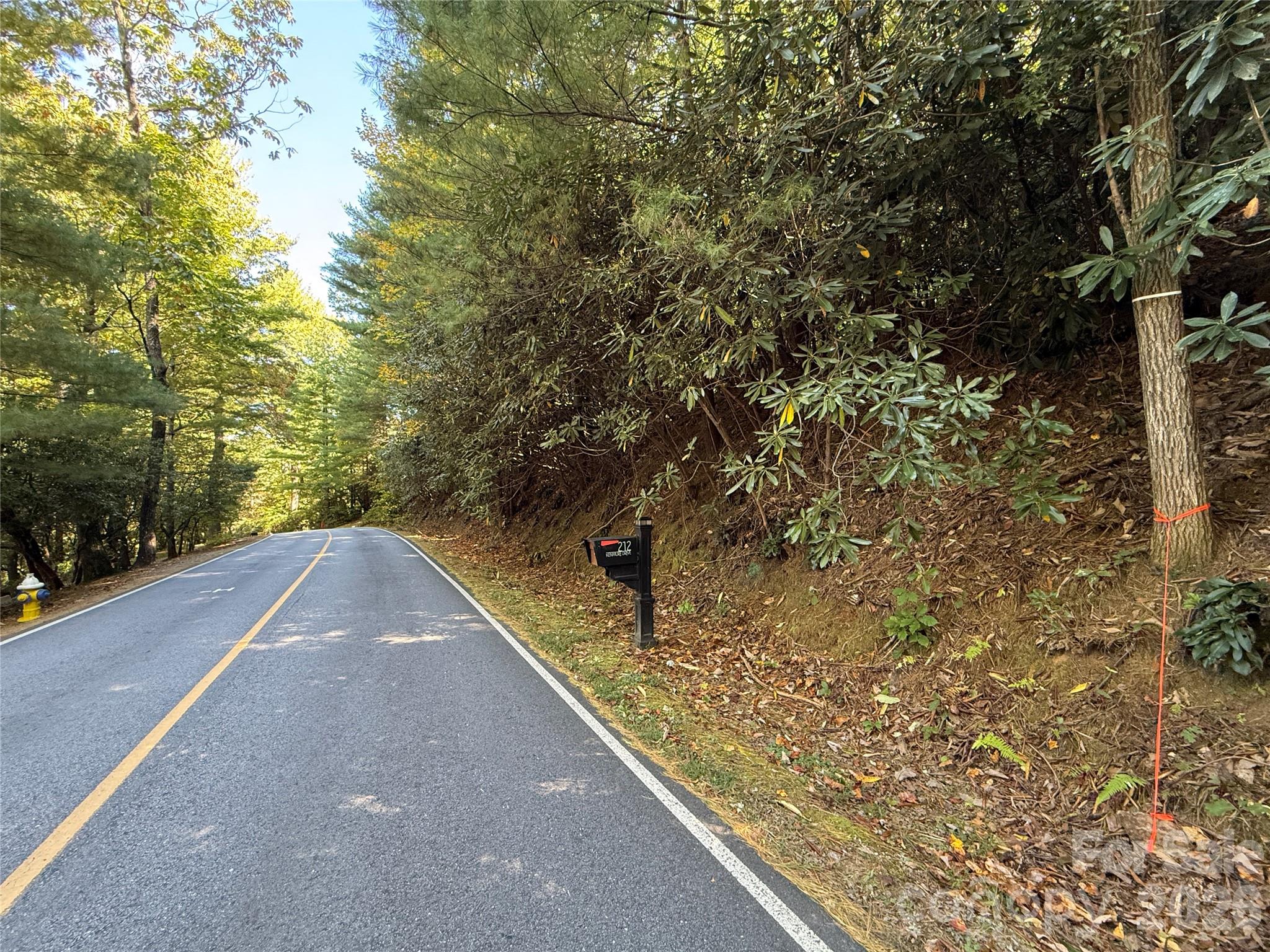 Lot 81 - R Kenmure Drive Property Photo 2