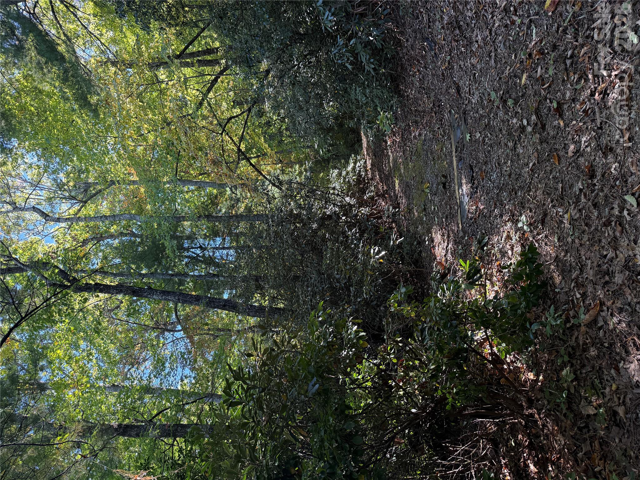 Lot 81 - R Kenmure Drive Property Photo 4