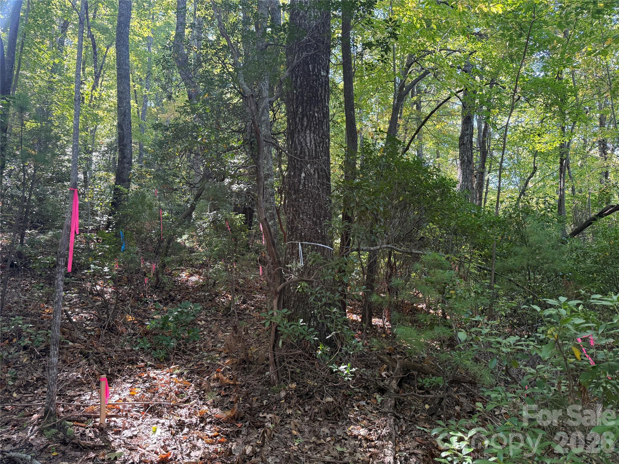 Lot 81 - R Kenmure Drive Property Photo 8