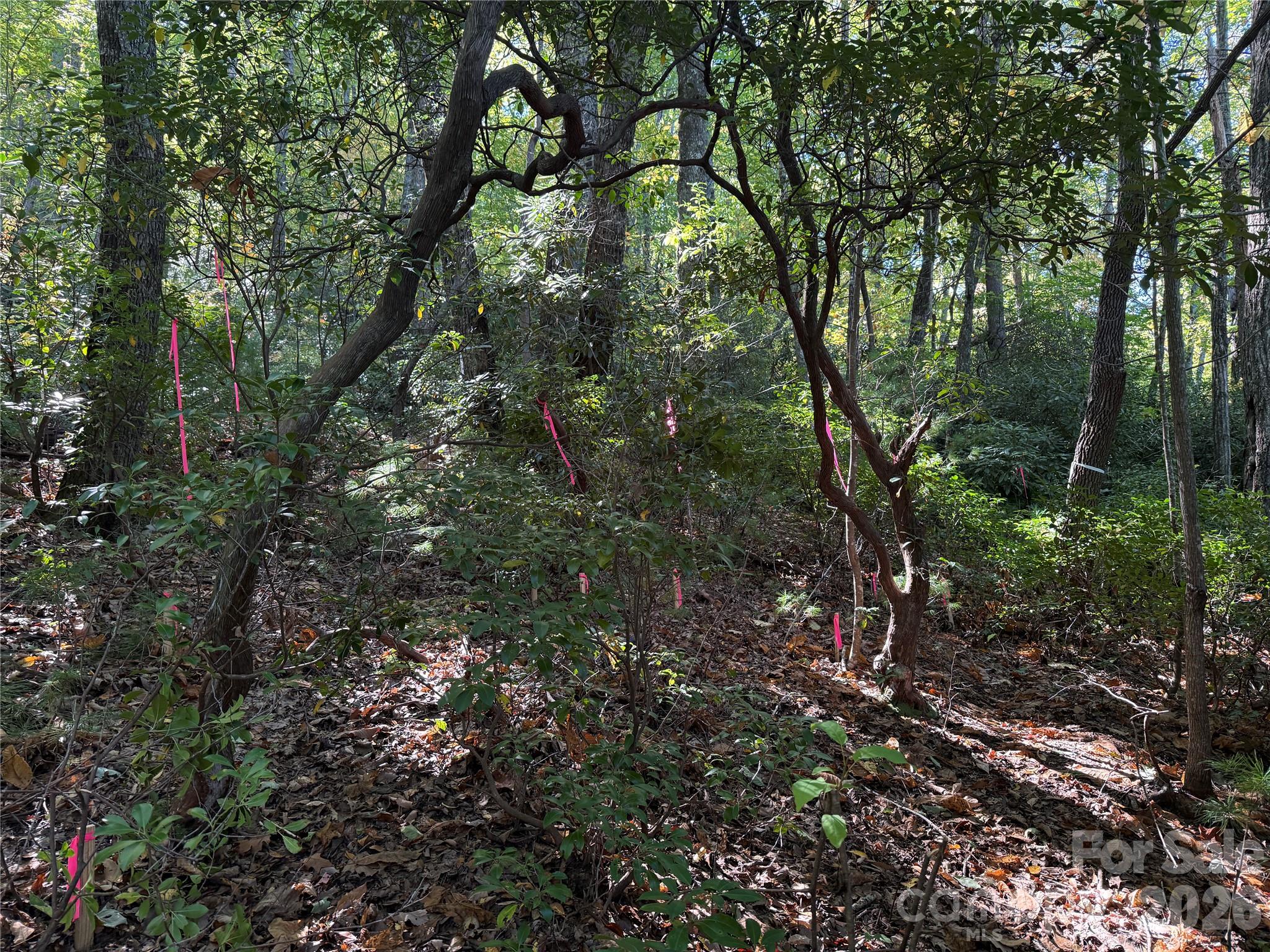 Lot 81 - R Kenmure Drive Property Photo 11