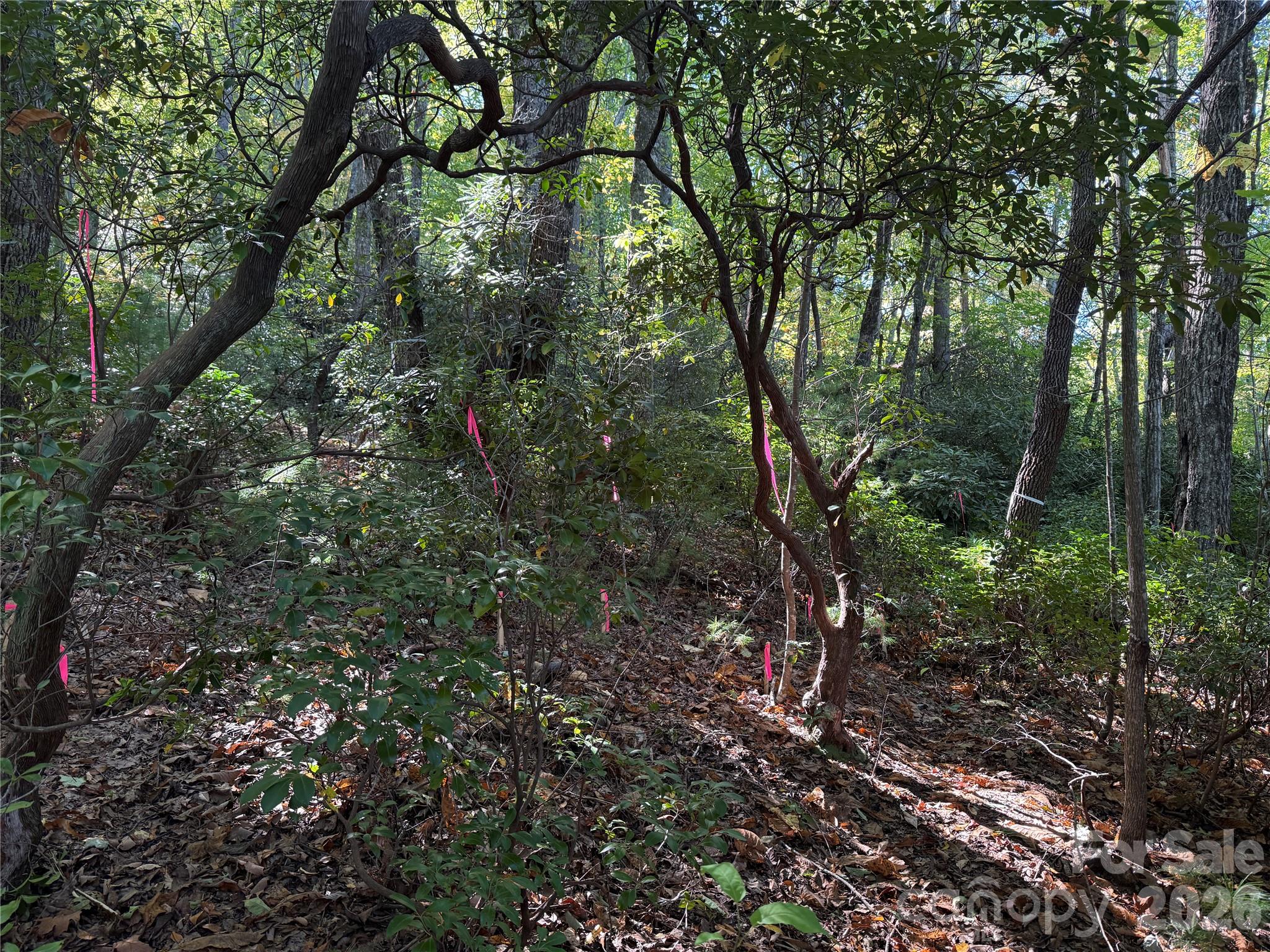 Lot 81 - R Kenmure Drive Property Photo 12