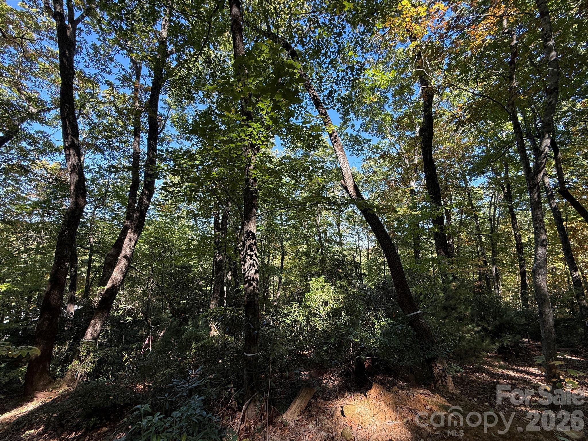 Lot 81 - R Kenmure Drive Property Photo 14