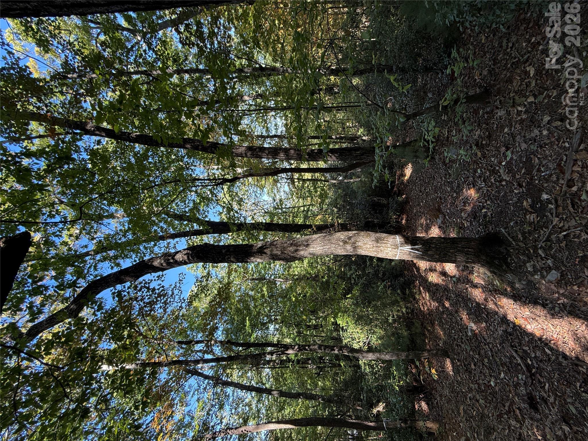 Lot 81 - R Kenmure Drive Property Photo 15