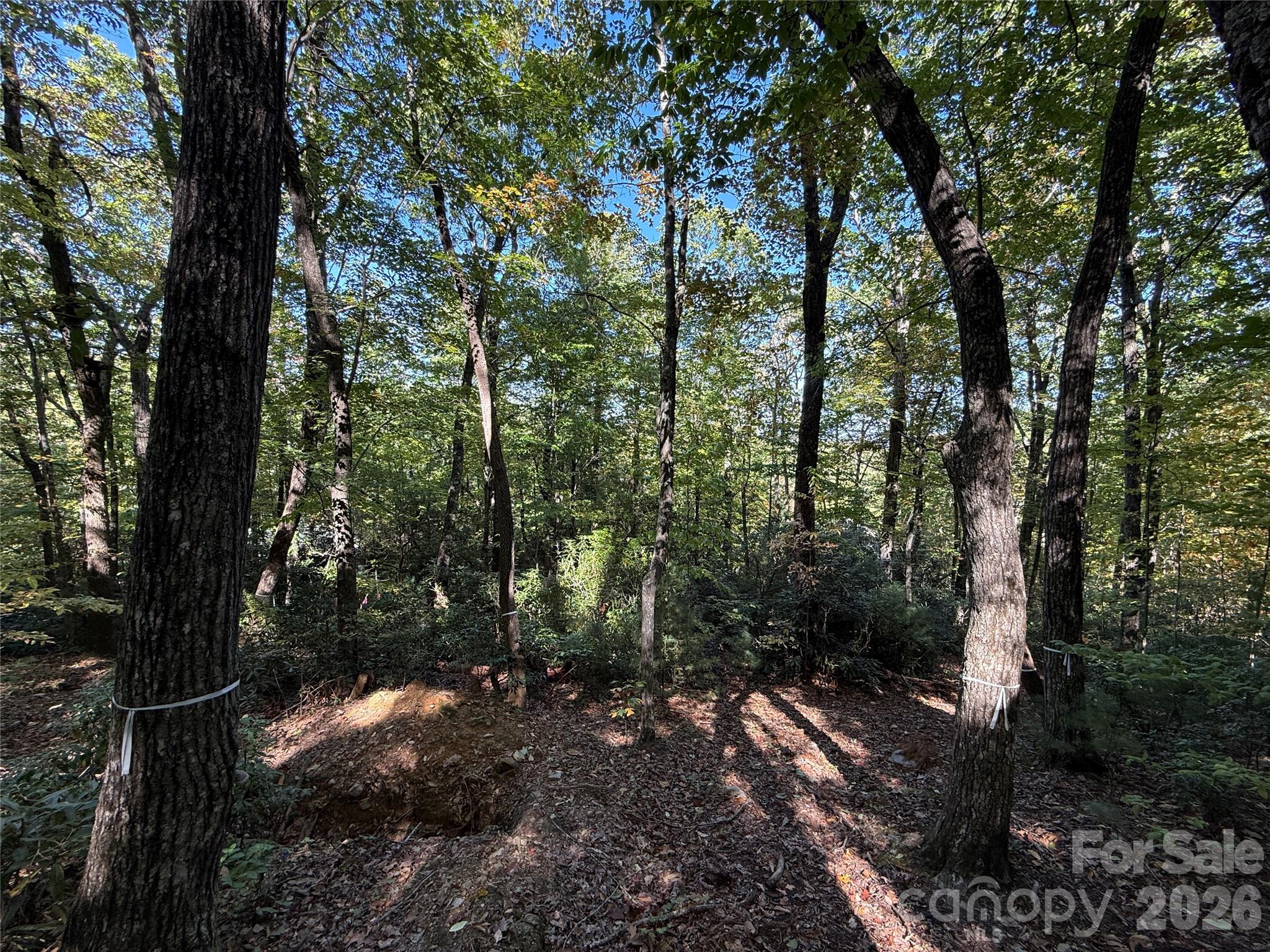 Lot 81 - R Kenmure Drive Property Photo 18